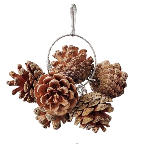 Pinecone Parrot Chew Toy, Natural Bird Chew Toy, Parrot Chewing Toys, Bird Cage Accessories for Parrot, Pinecone Design Encourages Natural Chewing Behavior for Small and Medium Sized Birds von Iouyjiu