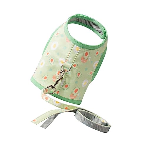 Ipetboom 1 Set Avocado Muster Mesh Hund Weste Leine Kätzchen Haustier Training Strap von Ipetboom