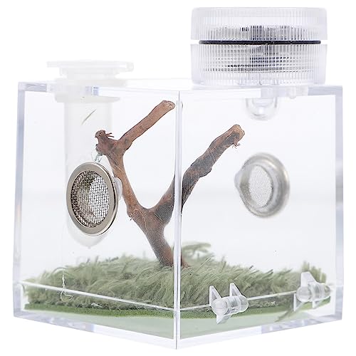 Ipetboom Glasbehälter Für Terrarien 1 Stück Spinnen-Habitat-Box Springende Spinne Zuchtkoffer Spinnen-Aufbewahrungsbox Mit Lampe Spinne Springt Aus Der Box Streich Glasbehälter Für von Ipetboom