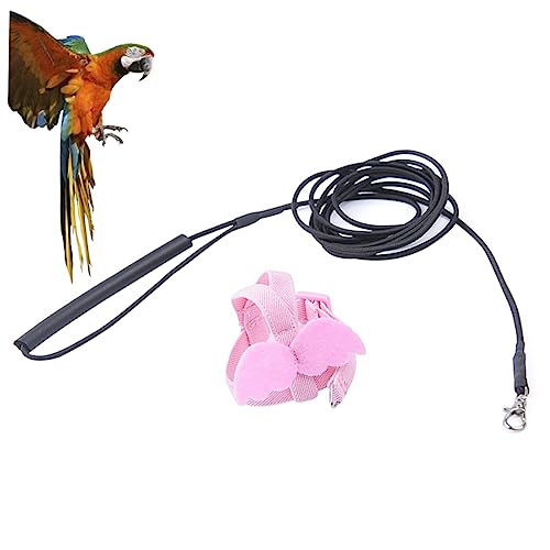 Ipetboom Papagei Papagei Fliegen Seil Pet Supplies Vogel 2m Elastische Komfortable Vogel von Ipetboom