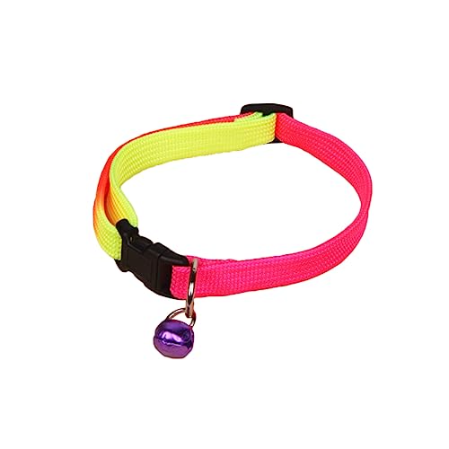 Ipetboom Katzen-/hundehalsband Mit Glöckchen Verstellbares Haustierhalsband in Regenbogenfarben Für Modisches Haustier-Accessoire Zufällige Farbauswahl Ipetboom Katzen-/hundehalsband Mit Glöckchen Verstellbares Haustierhalsband in Regenbogenfarben Für Modisches Haustier-Accessoire Zufällige Farbauswahl von Ipetboom