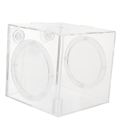 Ipetboom Kasten Isolationsbox Für Aquarien Aquarienfische Trennwand Für Aquarien Fischzüchter Aquarienpflanzen Leben Aquariumtrenner Salzgarnelen Fischzuchtfall Guppys Acryl Inkubationsbox von Ipetboom