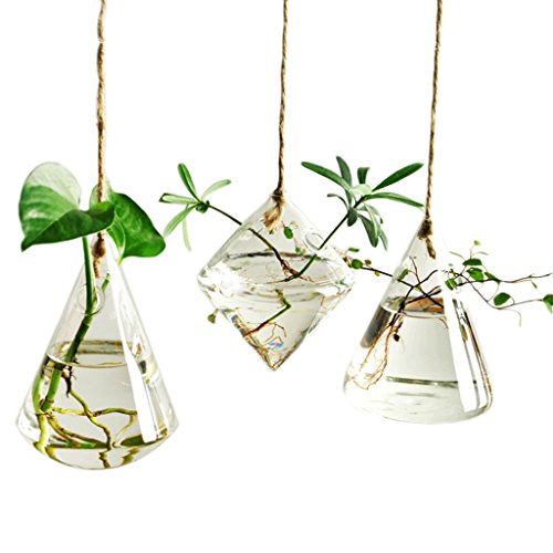 Ivolador Hängen Glas Vasen Geometrische Vaser für hydroponische Pflanzen Wasser Pflanzgefäß Vase Home Garden Dekoration. 3 Stück mit Saiten von Ivolador