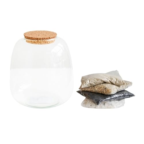 Ivyline Terrarium-Set in Schüsselform, zum Selbermachen, mittelgroß, wasserdicht, Sukkulenten/Blumen, Pflanzenhaus – Mittelstück für den Innenbereich, 20 x 19 cm (H x T) von Ivyline