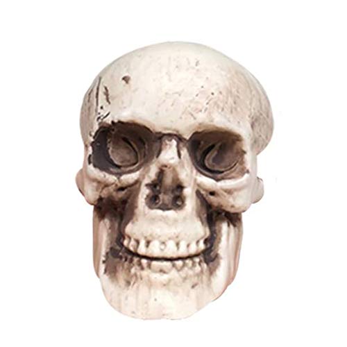 Halloween-Skelette, Plastik realistische gefälschte Simulation menschlicher Schädel-Kopf-Knochen-Modell Halloween-Stütze realistisches Mini-Skelett gruselige Halloween-Dekorations-Party-Lieferungen von Iwähle
