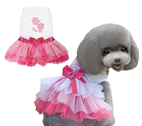 Hundekleid Luxus Welpenrock Hundekleidung Prinzessin Kleider Hochzeitsabendkleid Tutu Rock Rote Lippen Bowknot Kleid für Kleine Hundemädchen Rot S von Izefia