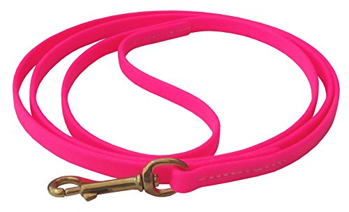 J&J Dog Supplies Biothane Hundeleine, 1/2" Wide by 6' Long, Rose von J&J Dog Supplies