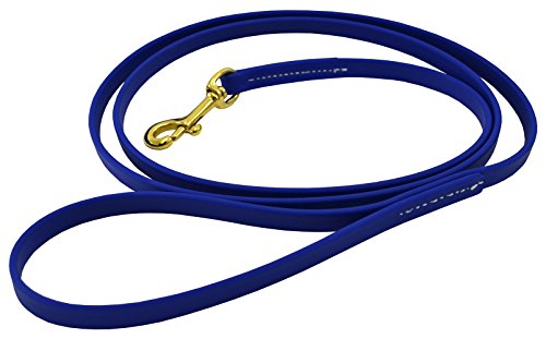 J&J Dog Supplies Biothane Hundeleine, 1/2" Wide by 6' Long, blau von J&J Dog Supplies