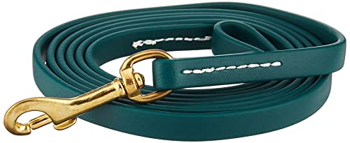 J&J Dog Supplies Biothane Hundeleine, 1,27 cm breit, 1,82 m lang, Hunter Green von J&J Dog Supplies