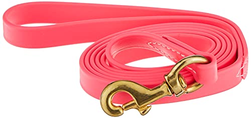 J&J Dog Supplies Biothane Hundeleine, 1,9 cm breit, 1,8 m lang, Pink von J&J Dog Supplies