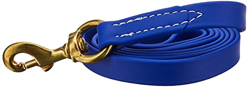 J&J Dog Supplies Biothane Hundeleine, 3/4" Wide by 6' Long, blau von J&J Dog Supplies