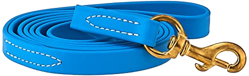 J&J Dog Supplies Biothane Hundeleine, 3/4" Wide by 6' Long, himmelblau von J&J Dog Supplies