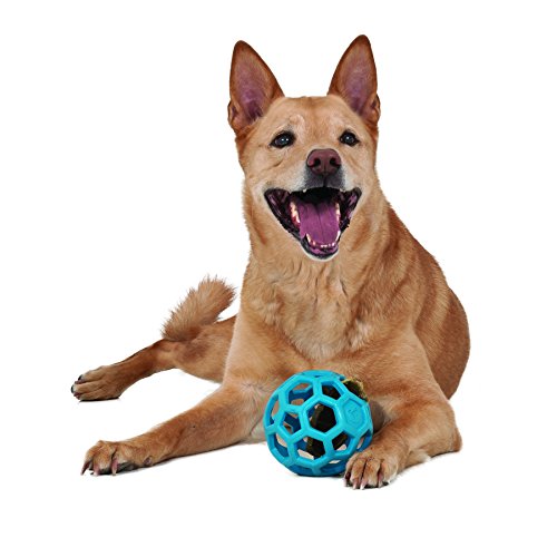 JW Hol-ee Hundespielzeug / Ball, Größe 12,7 cm, aus Gummi, Größe M von J.W.