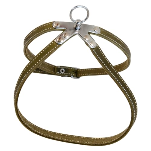 JACK AND VANILLA, Ergonomisches Geschirr aus grünem Fettleder für Tiere, verstellbar für optimalen Komfort, ideal für Spaziergänge, Größe 10 mm x 35 cm, Modell Leder von JACK AND VANILLA