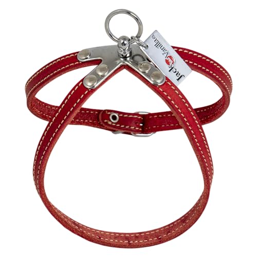 JACK AND VANILLA, Geschirr aus Leder, robust, verstellbar, für Tiere, Elegantes und sicheres Design, ideal für Spaziergänge, Größe 10 mm x 50 cm, Farbe: Rot, Modell Leder von JACK AND VANILLA