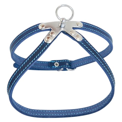 JACK AND VANILLA, Geschirr aus robustem Leder für Tiere, individuelle Passform, Elegante Blau, ideal für Spaziergänge, Größe 10 mm x 35 cm, Modell Leder von JACK AND VANILLA