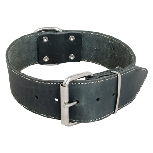 Jack and Vanilla - Breites Hundehalsband aus Fettleder – für mittelgroße und große Hunde – robust, langlebig, weiche Haptik – moderner Look – Farbe Grau, Größe 30 mm x 50 cm von JACK AND VANILLA