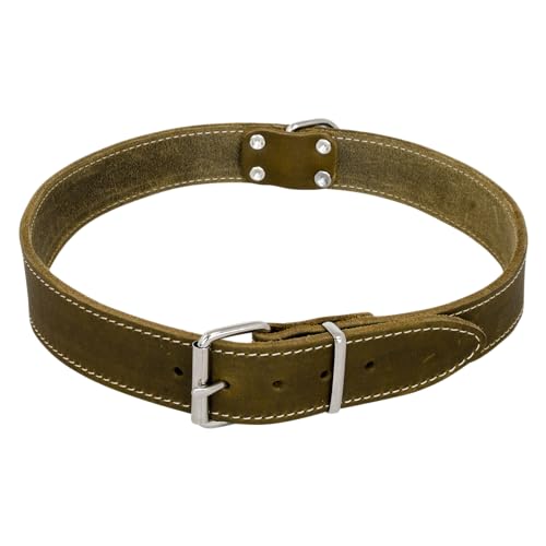 JACK AND VANILLA, Halsband aus Fettleder für Hunde und Katzen, 10 mm breit, verstellbar, 25 cm, langlebig und bequem, ideal für aktive und Elegante Tiere, Modell Leder von JACK AND VANILLA