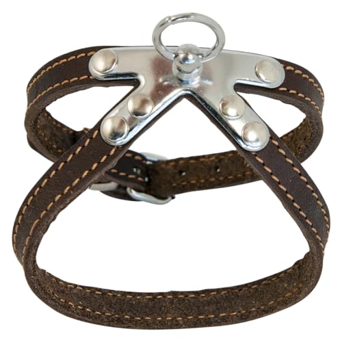 JACK AND VANILLA, Hundegeschirr aus braunem Fettleder, ergonomisches Design, verstellbar, langlebig und pflegeleicht, 10 mm breit x 30 cm lang, Farbe: Braun, Modell Leder von JACK AND VANILLA