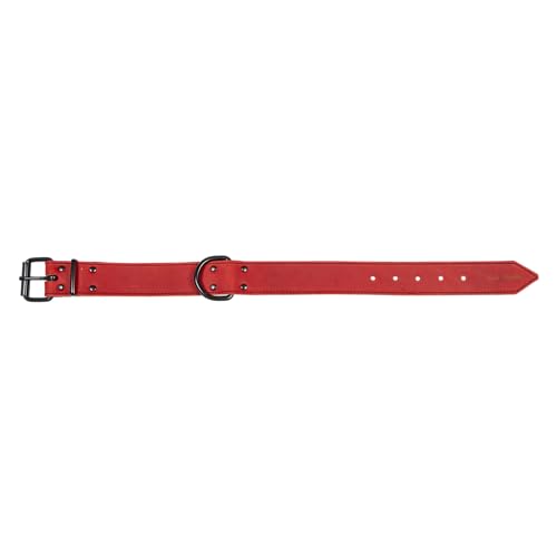 JACK AND VANILLA, Hundehalsband, Größe L, Modell Black Label, Farbe: Rot, Größe 40 mm x 55 cm von JACK AND VANILLA