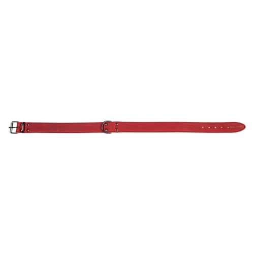 Jack and Vanilla Black Label Hundehalsband – für kleine, mittelgroße und große Hunde – verstellbar, robust, effektiver Verschluss – Farbe Rot, Größe 25 mm x 55 cm von JACK AND VANILLA