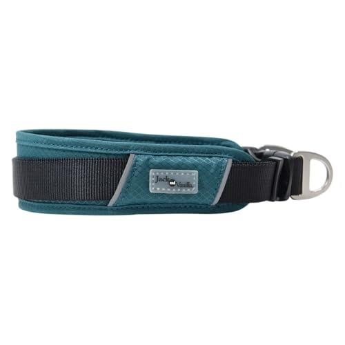 JACK AND VANILLA, Hundehalsband, Modell Expedition, Farbe: Blau, Größe 25 mm x 52 cm von JACK AND VANILLA