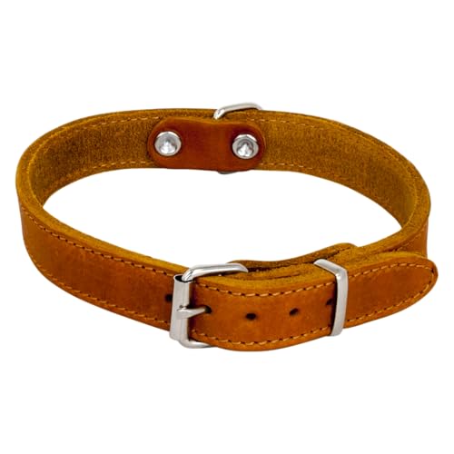 Jack and Vanilla - Hundehalsband aus Fettleder – Robustes Material, langlebig, pflegeleicht, weiche und angenehme Haptik – moderner Look – Farbe Cognac, Größe 14 mm x 35 cm von JACK AND VANILLA