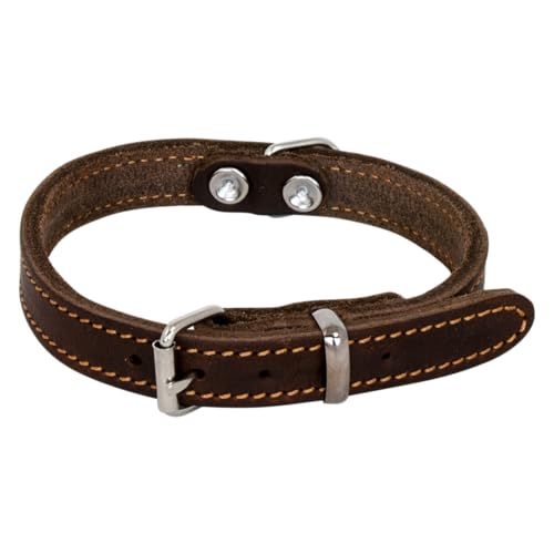 JACK AND VANILLA, Hundehalsband, Modell Fettleder, Farbe: Braun, Größe 30 mm x 65 cm von JACK AND VANILLA