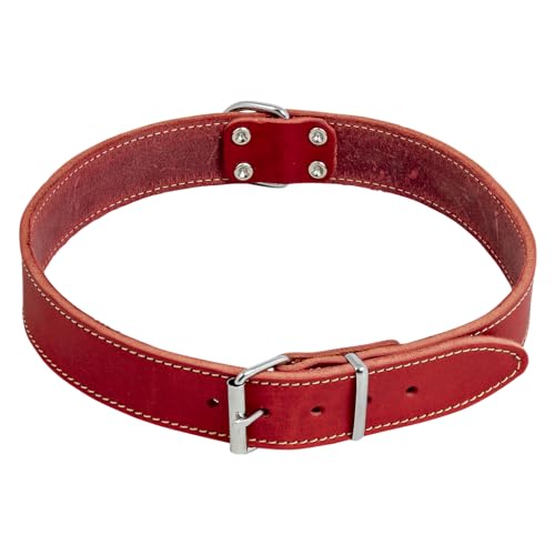 JACK AND VANILLA, Hundehalsband, Modell Fettleder, Farbe: Rot, Größe 12 mm x 30 cm von JACK AND VANILLA