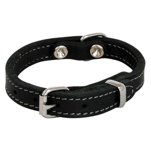 JACK AND VANILLA, Hundehalsband, Modell Fettleder, Farbe: Schwarz, Größe 20 mm x 50 cm von JACK AND VANILLA