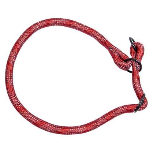 JACK AND VANILLA, Hundehalsband, Modell Luminous Dots, Rot, Größe 12 mm x 50-65 cm von JACK AND VANILLA