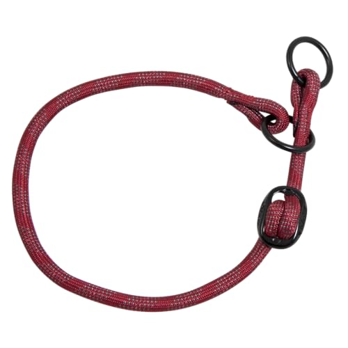 Jack and Vanilla - Großes Hundehalsband mit leuchtenden Punkten, hohe Sichtbarkeit, für Jede Größe von Hunden, Rot, Größe 8 mm x 30-35 cm von JACK AND VANILLA