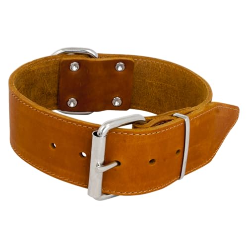 Jack and Vanilla - Breites Hundehalsband aus Fettleder – für mittelgroße und große Hunde – robust, langlebig, weiche Haptik – moderner Look – Farbe Cognac, Größe 50 mm x 60 cm von JACK AND VANILLA