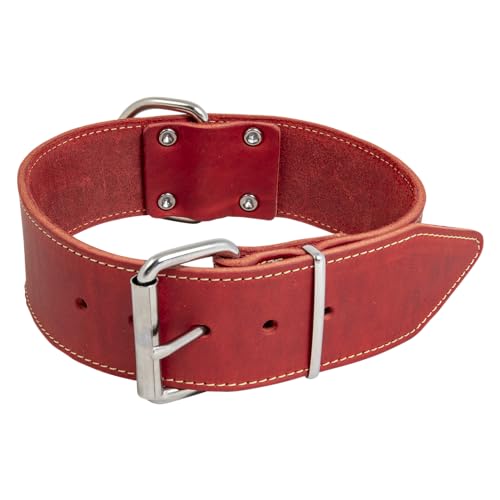 Jack and Vanilla - Breites Hundehalsband aus Fettleder – für mittelgroße und große Hunde – robust, langlebig, weiche Haptik – moderner Look – Farbe: Rot, Größe 30 mm x 40 cm von JACK AND VANILLA