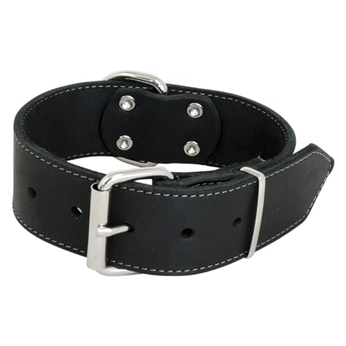 Jack and Vanilla - Breites Hundehalsband aus Fettleder – für mittelgroße und große Hunde – robust, langlebig, weiche Haptik – moderner Look – Farbe: Schwarz, Größe 40 mm x 50 cm von JACK AND VANILLA