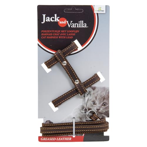 JACK AND VANILLA, Katzengeschirr aus Fettleder, mit Leine, verstellbar für optimalen Komfort, Elegantes Design, Farbe: Braun, Größe 10 mm x 100 cm, Modell Leder von JACK AND VANILLA