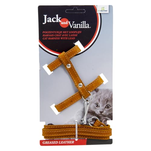 JACK AND VANILLA, Katzengeschirr aus Fettleder mit Leine, verstellbar für optimalen Komfort, Elegantes Design, Cognac, Größe 10 mm x 100 cm, Modell Leder, Zubehör von JACK AND VANILLA