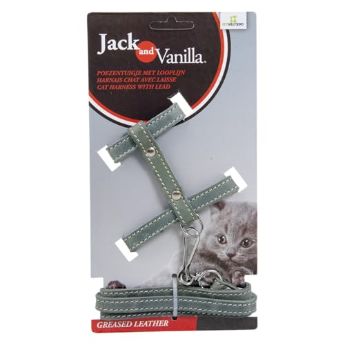 JACK AND VANILLA, Katzengeschirr aus Fettleder mit Leine 100 cm, individuelle Passform, Elegantes Design, optimaler Komfort, ideal für Spaziergänge, Größe 10 mm, Grau, Modell Leder von JACK AND VANILLA