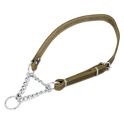 JACK AND VANILLA, Martingale Halsband aus Leder, Grün, verstellbar von 50 bis 80 cm, 25 mm breit, Robustes und Elegantes Design, ideal für Komfort und Kontrolle Ihres Hundes, Modell Leder von JACK AND VANILLA