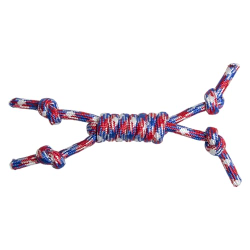 JACK AND VANILLA, Natürliche Kauknoten für Hunde, stärkt die Zahngesundheit, stimuliert die geistige Aktivität, 26 cm, natürliche Farbe, Modell Borabora von JACK AND VANILLA