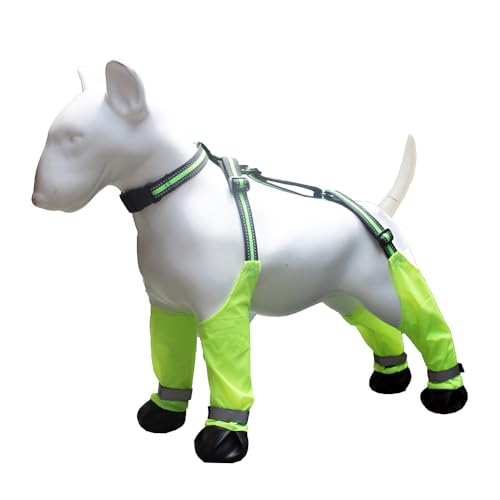 JACKANNA Hundeschuhe, wasserdichte, rutschfeste Hundestiefel für draußen, Pfotenschutz für kleine und mittlere Hunde, verstellbare Hundestiefel (Grün, XL) von JACKANNA