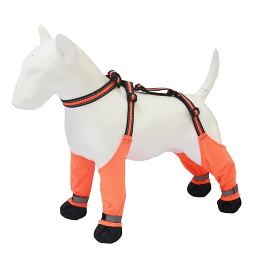 JACKANNA Hundeschuhe, wasserdichte, rutschfeste Hundestiefel für draußen, Pfotenschutz für kleine und mittlere Hunde, verstellbare Hundestiefel (Orange, L) von JACKANNA