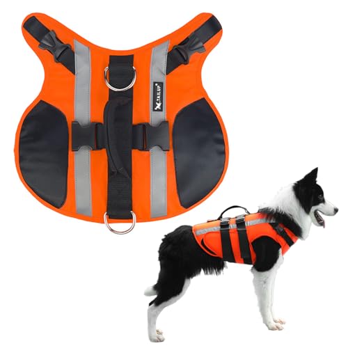 Jackanna Hundeschwimmweste, schwimmende Hundeschwimmweste für kleine, mittlere und große Hunde, verstellbares Design, schwimmende Schwimmweste für Haustiere (Orange, 2XL) von JACKANNA