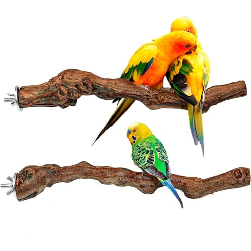 Jackanna Parrot Bird Standing Pole, Log Apple Grape Wood Standing Stick, Bird Claw Sharpening Perch Stand, Bird Cage Accessory for Cone-Tailed Parrotlet Exercise Training (Kombi 1, 2.5 * 25cm) von JACKANNA