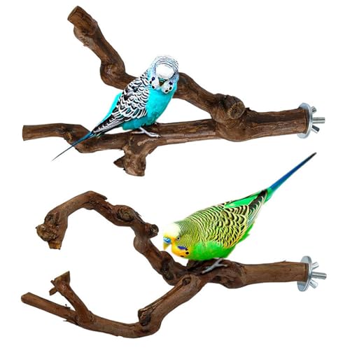 Jackanna Parrot Bird Standing Pole, Log Apple Grape Wood Standing Stick, Bird Claw Sharpening Perch Stand, Bird Cage Accessory for Cone-Tailed Parrotlet Exercise Training (Kombi 2, 2.5 * 25cm) von JACKANNA