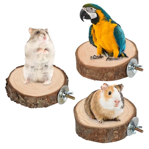 Jackanna Parrot Bird Standing Pole, Log Apple Grape Wood Standing Stick, Bird Claw Sharpening Perch Stand, Bird Cage Accessory for Cone-Tailed Parrotlet Exercise Training (Kombi 3, 2.5 * 25cm) von JACKANNA