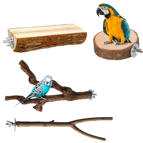 Jackanna Parrot Bird Standing Pole, Log Apple Grape Wood Standing Stick, Bird Claw Sharpening Perch Stand, Bird Cage Accessory for Cone-Tailed Parrotlet Exercise Training (Kombi 6, 2.5 * 25cm) von JACKANNA