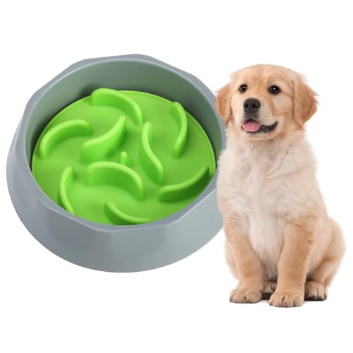 Jackanna Pet Silicone Feeding Bowl, Food Grade Organic Silicone Slow Food Bowl, Pet Licking Mat for Small, Medium and Large Pets Cats and Dogs (Graue und grüne Schale) von JACKANNA