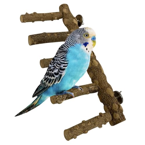 Parrot Bird Standing Pole, Pet Bird Cage Wooden Hanging Perch Plattform, Vogel Hängematte Swing Spielzeug, geeignet für Aras und andere Haustiere Vögel (Kombi 2, 2 * 20cm) von JACKANNA