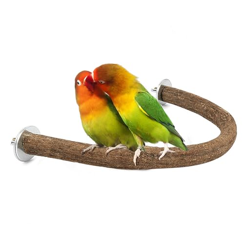 Parrot Bird Standing Pole, Pet Bird Cage Wooden Hanging Perch Plattform, Vogel Hängematte Swing Spielzeug, geeignet für Aras und andere Haustiere Vögel (Kombi 5, 2 * 20cm) von JACKANNA